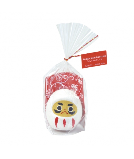 Porte-Bonheur Et Sa Plante Daruma Blanc - SEISHIN