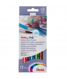 Crayons Aquarellables En Boîte De 12 - PENTEL