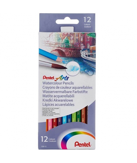 Crayons Aquarellables En Boîte De 12 - PENTEL