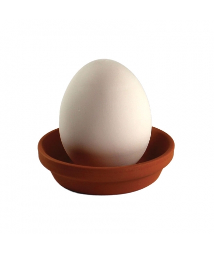 Plante à Cultiver Eggling Basilic - SEISHIN