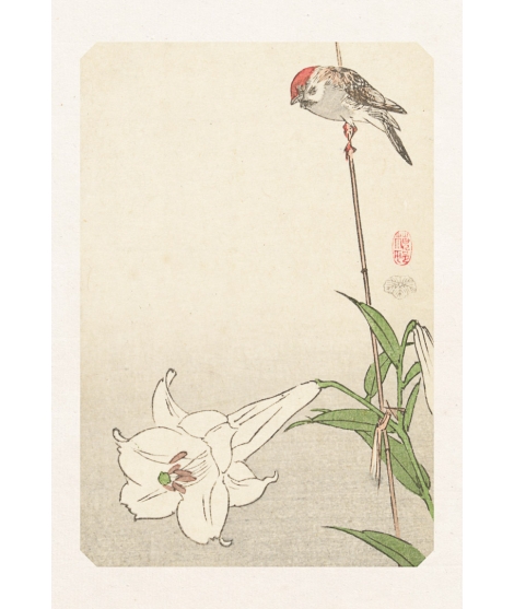 Carte Postale Oiseau & Fleur De Lys 10x15cm - Editions Jourdenuit