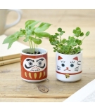 Mini Kit de Plantes à Faire Pousser Maneki Neko - NOTED