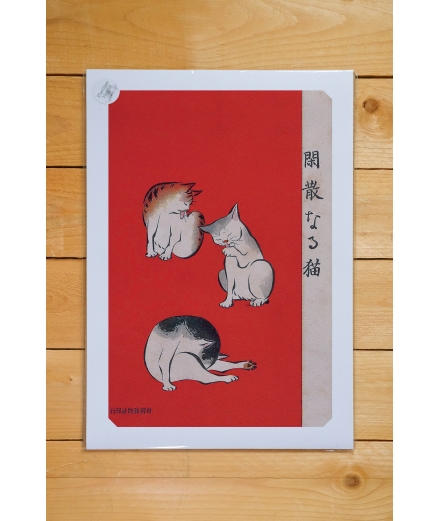 Poster A3 Estampe Quiet Cats / JOUR DE NUIT