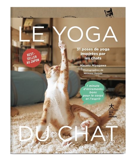 Le Yoga Du Chat - HACHETTE