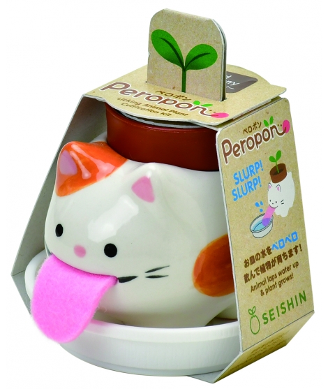 Plantes à faire pousser Peropon Chat - SEISHIN