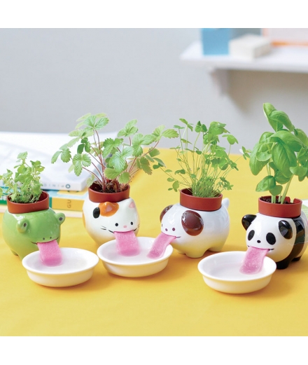 Plantes à faire pousser Peropon Panda - SEISHIN