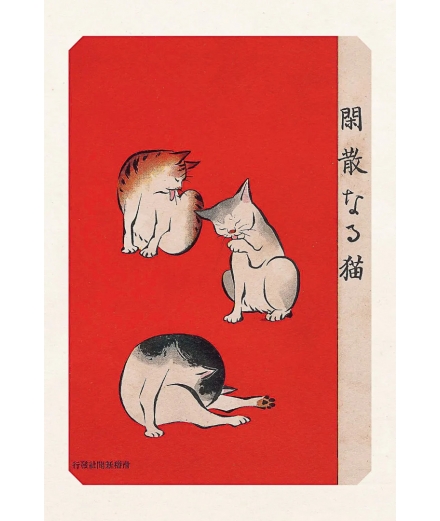 Carte Postale Quiet Cats 10x15cm - Editions Jourdenuit