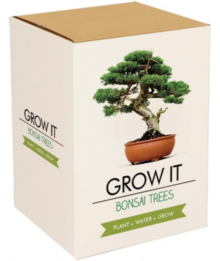 Kit Bonsai A Faire Pousser / GIFT REPUBLIC