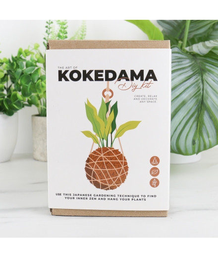 Kit Kokedama DIY / GIFT REPUBLIC