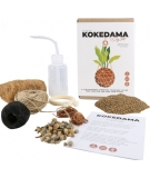 Kit Kokedama DIY / GIFT REPUBLIC