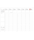 Agenda Semainier 2026 COLORS - MARK'S