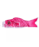 Koinoibori Taille S 53cm - AOI