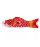 Koinoibori Taille S 53cm - AOI