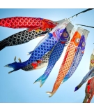 Koinoibori Taille S 53cm - AOI