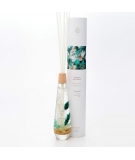 Diffuseur De Parfum 100% Naturel Clarity Shell 300ml - BOTANICA