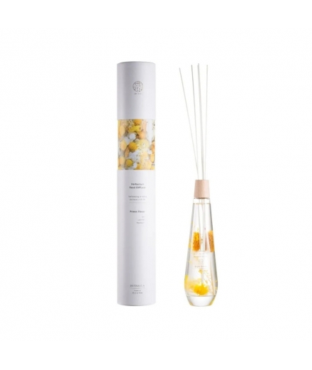 Diffuseur De Parfum 100% Naturel Bright Orange 300ml - BOTANICA