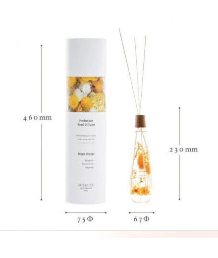 Diffuseur De Parfum 100% Naturel Bright Orange 300ml - BOTANICA