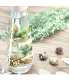 Diffuseur De Parfum 100% Naturel Neat Herbsl 300ml - BOTANICA