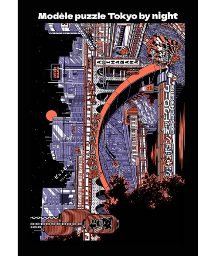 Puzzle 1000 Pièces Tokyo By Night - PAIHEME STUDIO