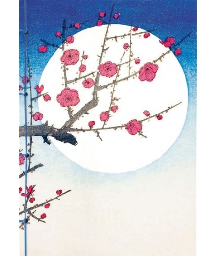 Carnet Hazan Gaufré Lune 18x26cm - HAZAN