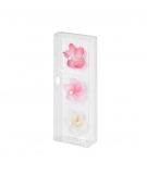 Magnets Cherry Blossom Lot de3 - PLUS D