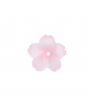 Magnets Cherry Blossom Lot de3 - PLUS D