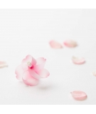 Magnets Cherry Blossom Lot de3 - PLUS D