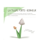 KIT ORIGAMI ANTISTRESS//LAROUSSE