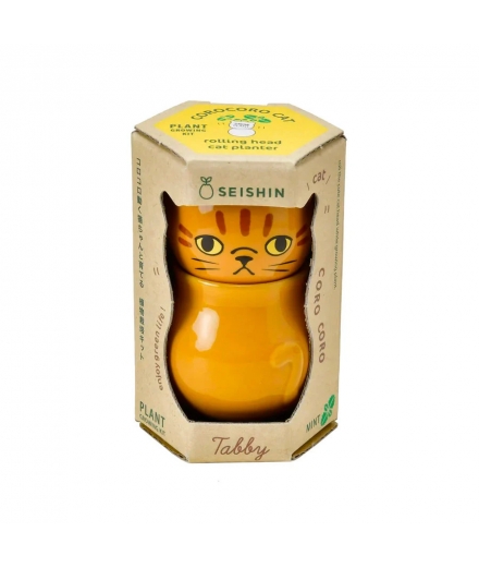 Chat Corocoro Plante à Faire Pousser Menthe - NOTED