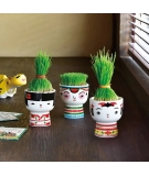 Mini-Pot Kokeshi à Faire Pousser - SEISHIN