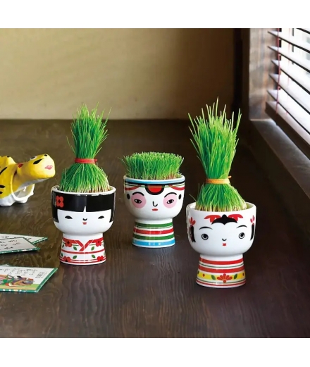 Mini-Pot Kokeshi à Faire Pousser - SEISHIN