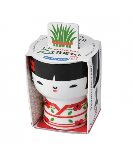 Mini-Pot Kokeshi à Faire Pousser - SEISHIN