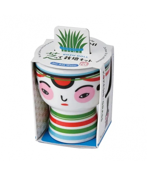Mini-Pot Kokeshi à Faire Pousser - SEISHIN