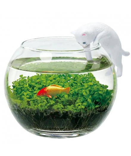 Jardin Zen Miniature À Faire Pousser Avec Chat - NOTED