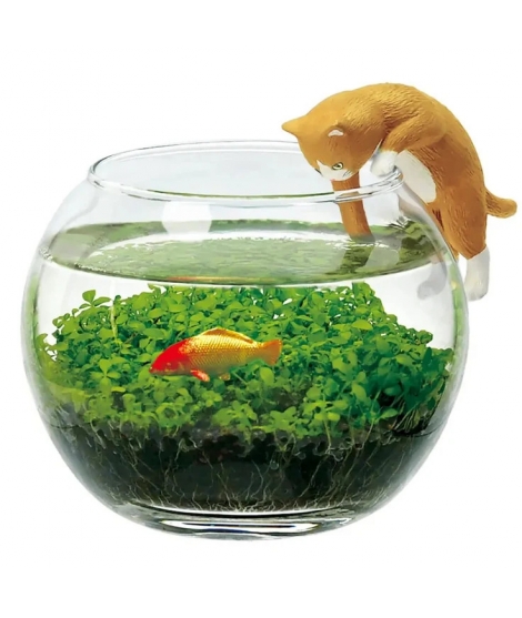 Jardin Zen Miniature À Faire Pousser Avec Chat - NOTED