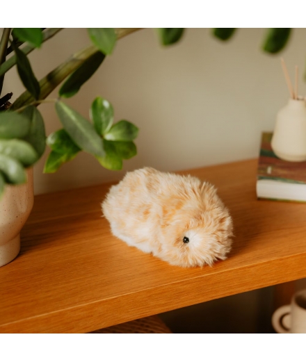 [BIENTOT DISPONIBLE] MOFLIN Le Compagnon Emotionnel - CASIO