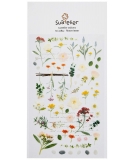 Stickers Daily Deco Flower Letter - SUATELIER